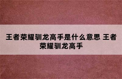 王者荣耀驯龙高手是什么意思 王者荣耀驯龙高手